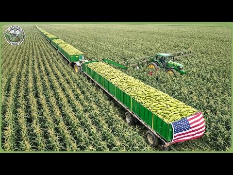 How American Farmers Produce 200 Million Tons of Crops – Large Scale High Tech Farming