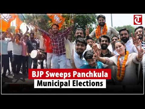 BJP Wins Big In Panchkula Municipal Elections | Strong Performance In Civic Poll Results