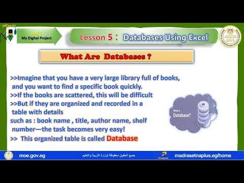 ICT Primary 6 - 11 - Unit 4 - Databases Using Excel - second term 2025-2026.