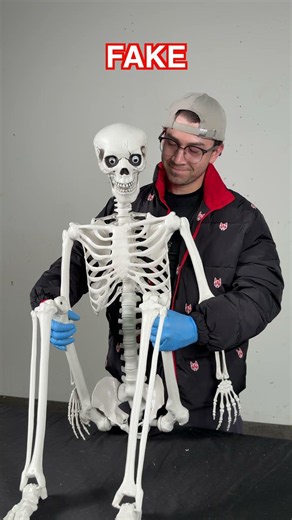 The Truth is There Were ACTUALLY 2 Chiropractors
