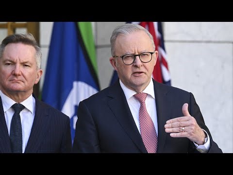 ‘Our sovereign capability stinks’: Labor’s green dream is ‘ruining’ Australia