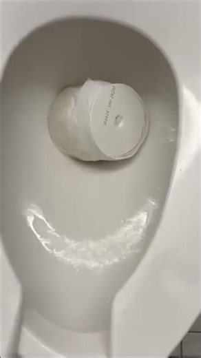 S2 Day 3 of Flushing Things