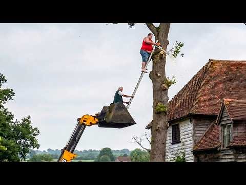 Idiots With Chainsaws: Tree Cutting Fails | Extreme Dangerous Logging Truck Fails #47