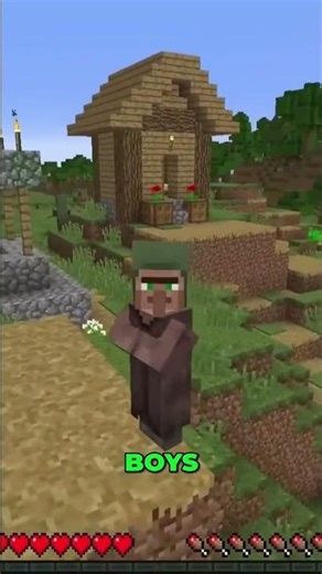 Undercover Minecraft Villager