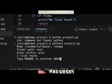 CS50P - Batch File Renamer