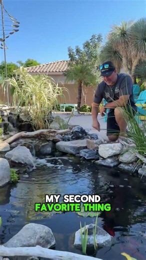 The best way to cool of in Arizona! 🤩