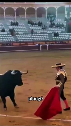 Il a vu quelque chose dans les yeux du taureau… 😢🐂