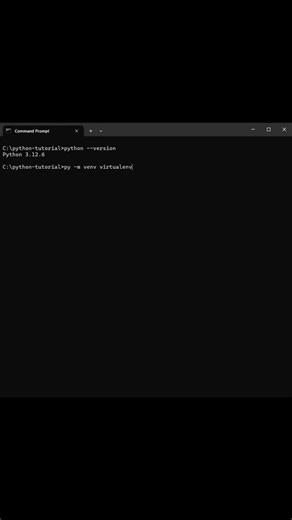 Python virtual environment
