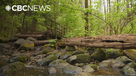 District of North Vancouver residents fight to keep Hastings Creek Trail open
