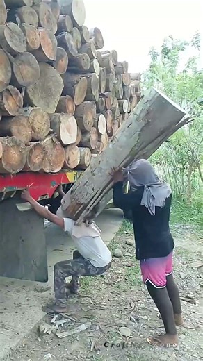 How a Truck is Loaded with Heavy Logs Without Mechanization | Local Method