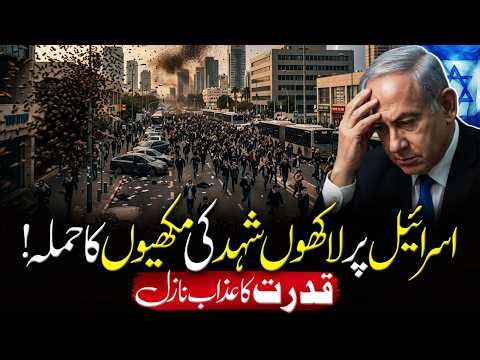 Millions of Bees Attack Israel? Nature Strikes Back!