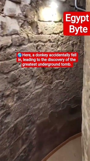 ​"A Donkey’s Fall Revealed This! 😱" #ancientegypt #pyramidsofegypt #history #egipt #museum