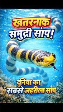 ये समुद्री साँप कितना खतरनाक है! 😱 Banded Sea Krait : Habitat, Venom, Diet & Facts