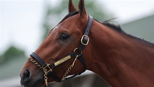 America's Pick: Who will win the 152nd Kentucky Derby?