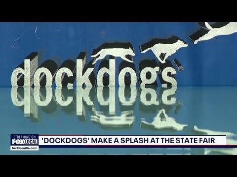 Dock diving dogs steal the show at Puyallup Spring Fair | FOX 13 Seattle