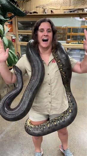 This green anaconda shows why it is built for strength