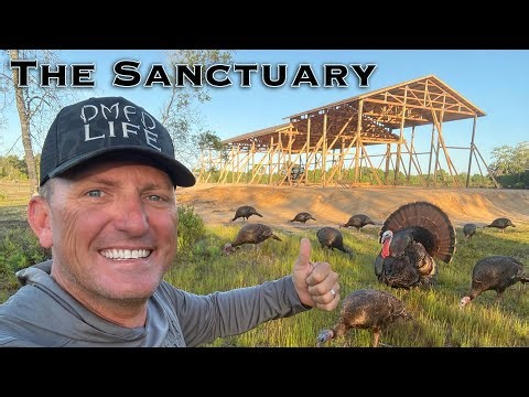 Wild Turkeys at our New Home! {Catch Clean Cook} The Sanctuary.! 