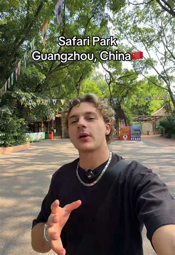 Is panda time | Safari Park
