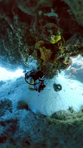 Diving Cozumel’s Underwater Caverns | Explore Beneath the Reef