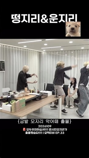 보넥도 | 성호 | 운학 | 너네 아이돌이야 #보이넥스트도어 #성호 #운학 #모지리 #아이돌