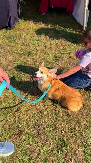 #montpelierhuntraces #corgirace #racedaytradition #virginiaevents #familyfun | Montpelier Hunt Races