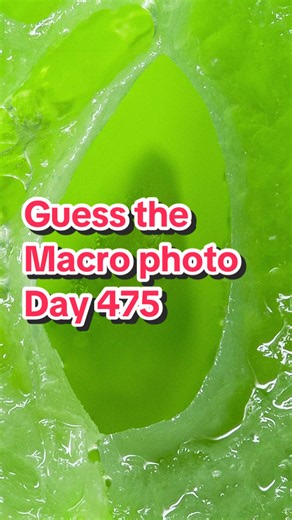 Day 475 of can you guess this macro photo! #macrophotography #photography
