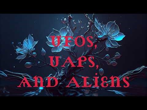 UFO Sightings: The Scanner UFO