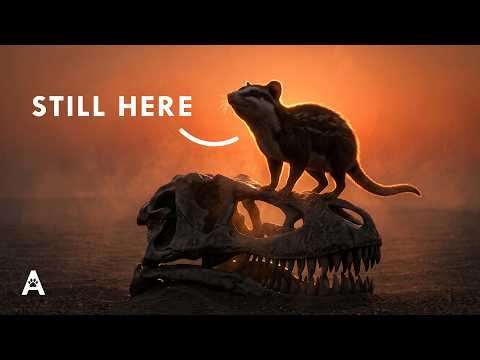 What Animals Looked Like Right After the Dinosaurs Died