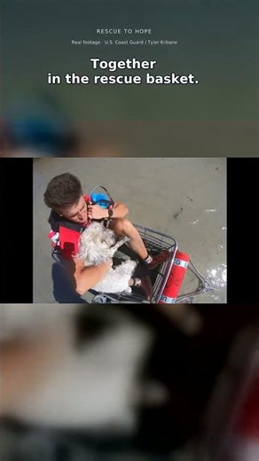 After Hurricane Ian, this little dog was not left behind. #Shorts