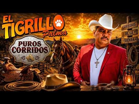 🔥 El Tigrillo Palma | Corridos Perrones de Pura Calidad 💯 ¡Grandes Éxitos!