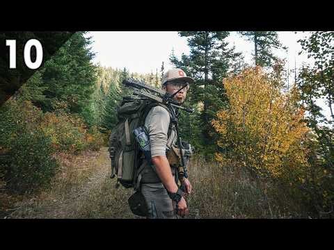 Archery Elk Hunting in the Mountain Fringes (General Season Elk Hunt) | 2026 EP.10