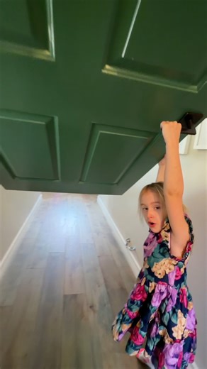 What's the purpose of this door? | Justin Flom