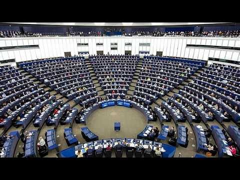 European Parliament triggers procedure to ban Alternative for Germany’s EU party