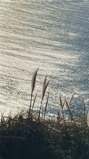 Beauty streaches out before us on the California Coast listening to our song Serene Dolomites :)