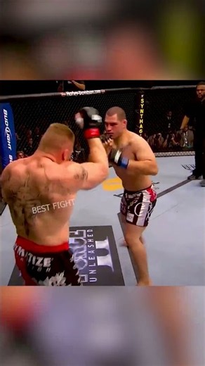 cain velasquez vs brock lesnar