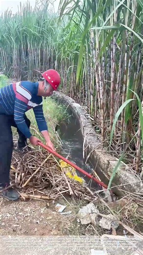 Clearing the Channel: How a Farmer Keeps an Irrigation Ditch Flowing
