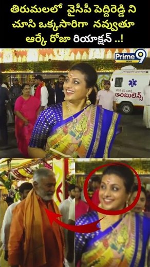 Ycp Roja Smiles At Ttd Viral Video : తిరుమలలో వైసీపీ పెద్దిరెడ్డిని చూసి నవ్వుతూ రోజా రియాక్షన్.!