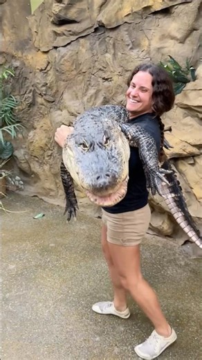 Took the boys out to deep clean their enclosure! 🐊 Gomer is a really good boy!