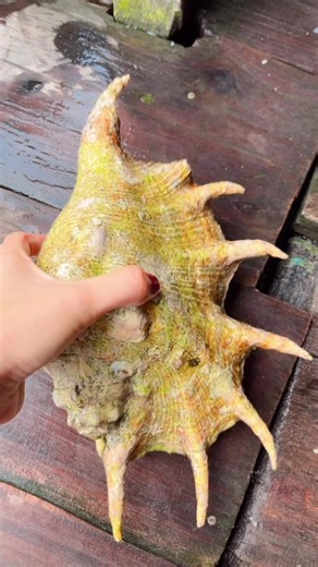 rebus ketang😁🤤