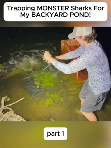 Bass Fishing Tips & Techniques