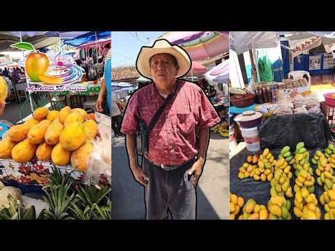Domingo de Plaza con Cacho en vivo