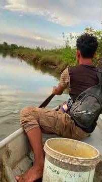 fishing big fish in river #fishing #fish #00233