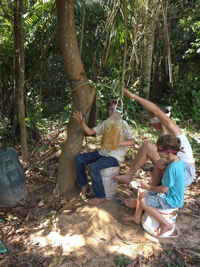 The kids convinced my to play a crazy game with them #homesteading #offgridliving