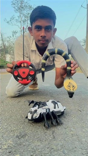 Remote Control Makadee and Rc Snake black 😱