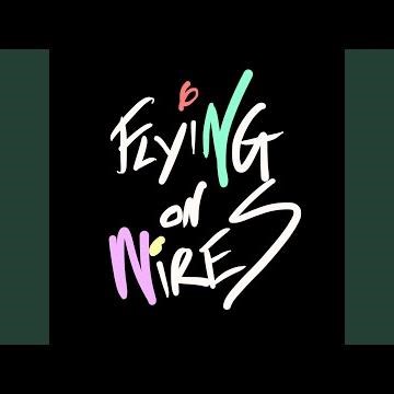 Flying on Wires