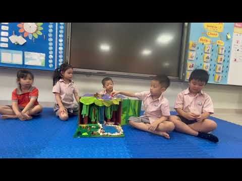 Conceptual understanding 1