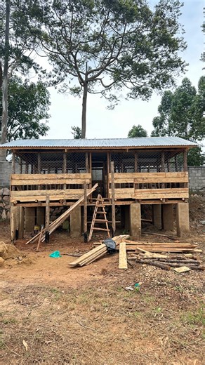 Your Goats Deserve a Well Done Raised House. Here are the main benefits of a raised goat structure: 1. Better hygiene & disease control When goats are raised off the ground: • Droppings fall through the slatted floor • Goats don’t step on manure or urine • Fewer cases of worms, foot rot, coccidiosis This means Clean goats equals to fewer vet bills 2. Reduced parasite infestation Most internal and external parasites live in soil and damp areas. Therefore a raised house Cuts contact with contamina