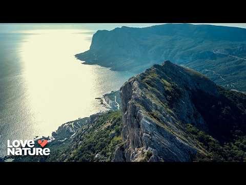 When Continents Collide: The Violent Birth Of Gros Morne | Undiscovered Vistas 101