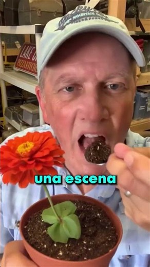ASÍ HACEN LA COMIDA DE LAS PELÍCULAS!! 😯