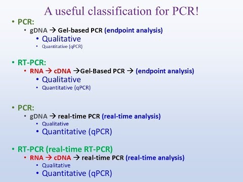 Bioinf Class 18A, Designing PCR primers Part 8, a useful classification!
